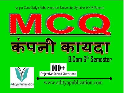 कंपनी कायदा 6th Semester
