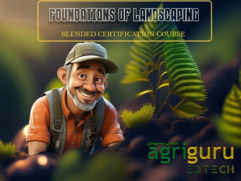 Foundations of Landscaping