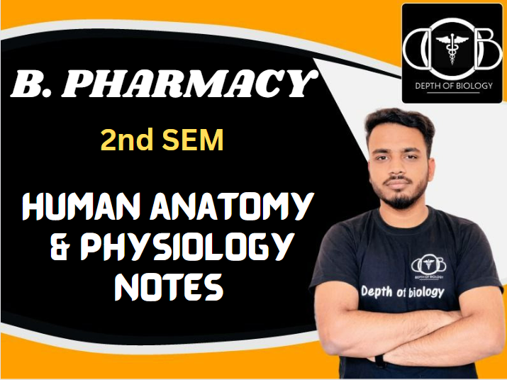 2nd sem HUMAN ANATOMY & PHYSIOLOGY NOTES