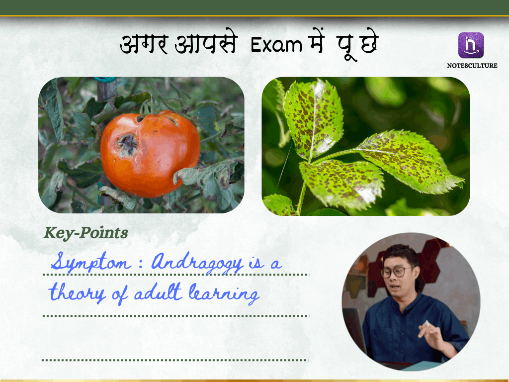 B.Sc. (Ag.) All subjects