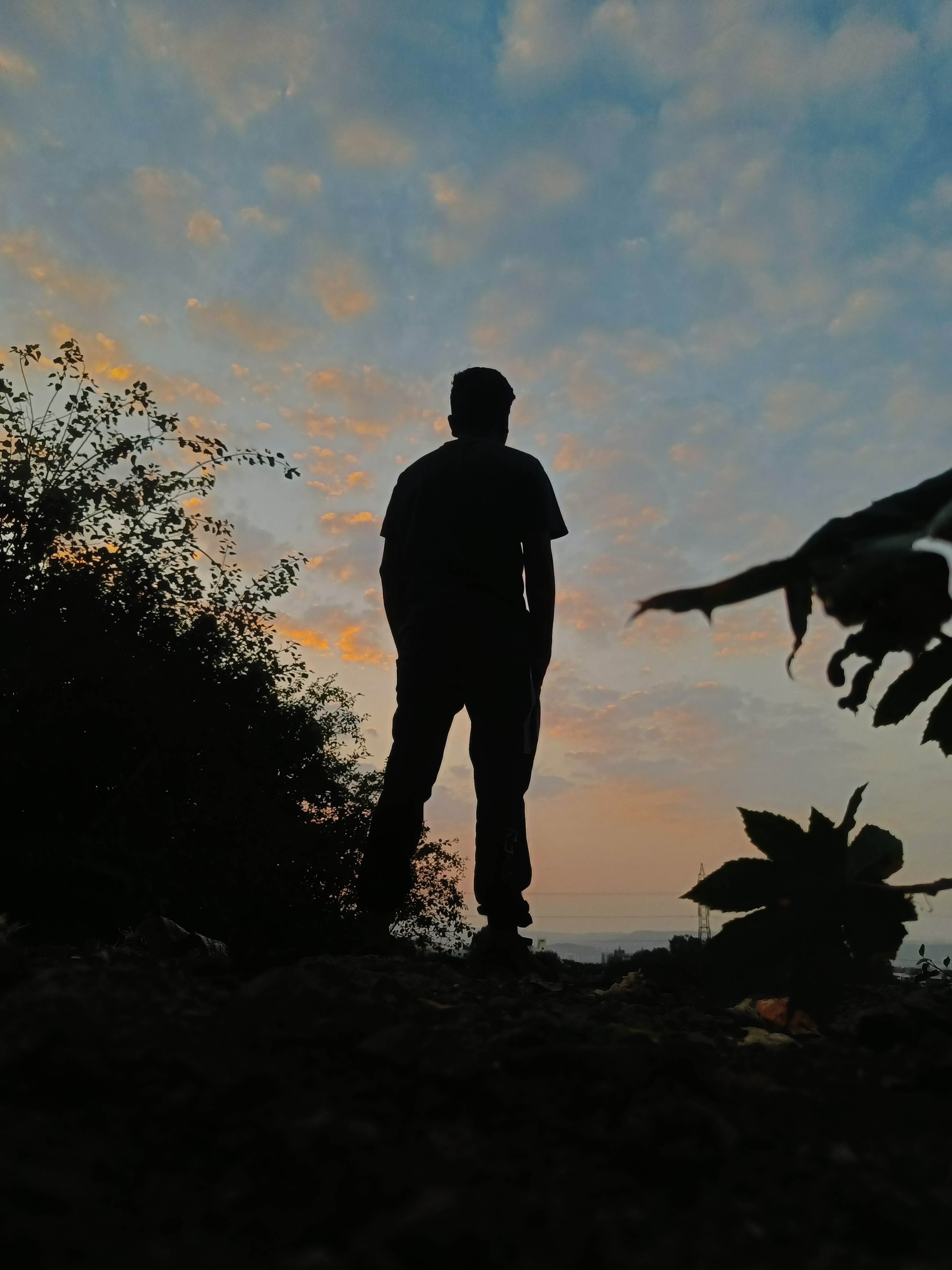 Profile