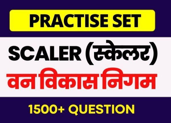Scaler (स्केलर) Mock Test